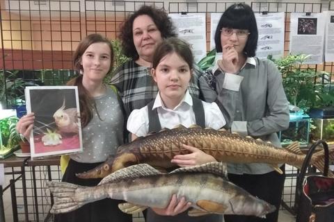 Все новости