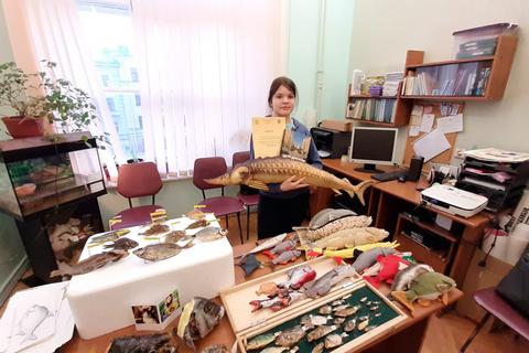 Все новости